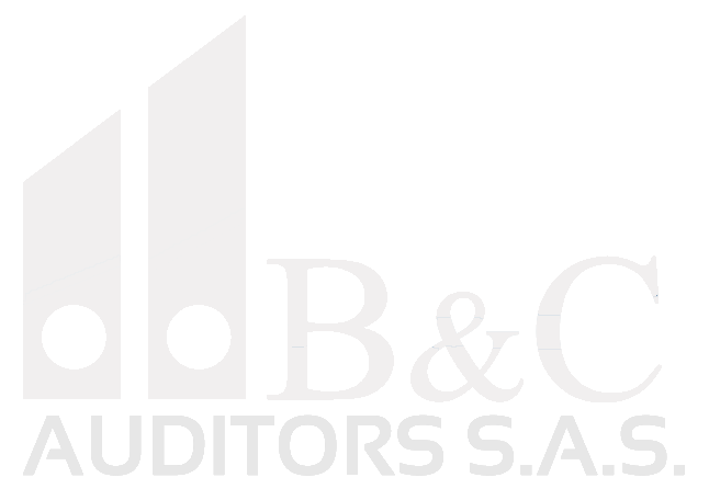 B&C Auditors
